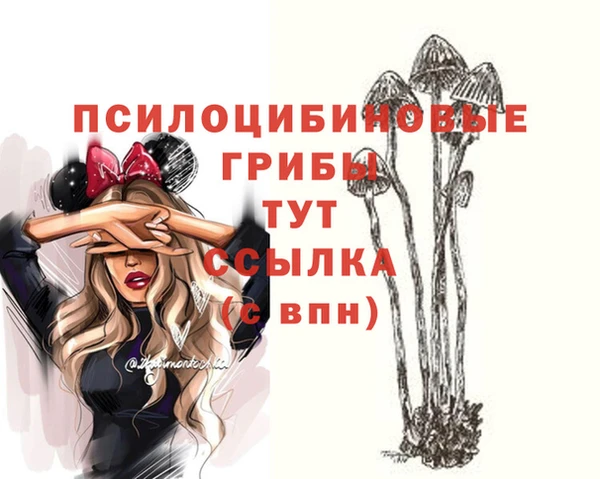 мет Коряжма