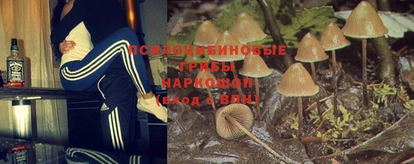скорость Корсаков