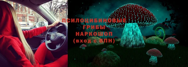 шишки Киренск